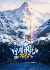 齿轮之城